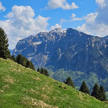 Gasthof Naze`s Hus Mellau