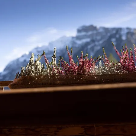 Naze's Hus 3* Mellau