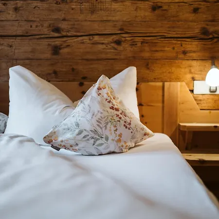 Naze's Hus 3* Mellau