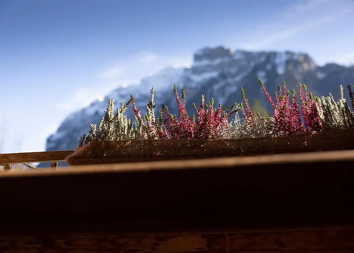 Naze's Hus 3* Mellau