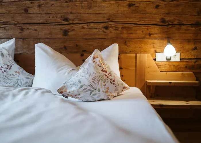 Naze's Hus 3* Mellau